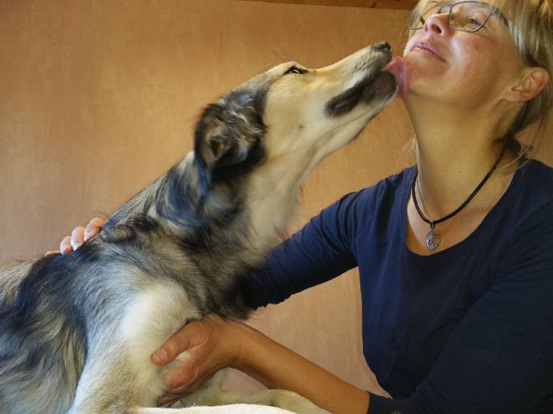 Herzlich Willkommen! Osteotherapie & Physiotherapie am Hund